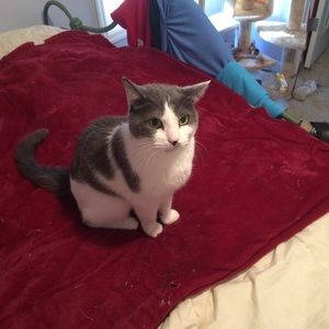 Meet your Posher, Tiff